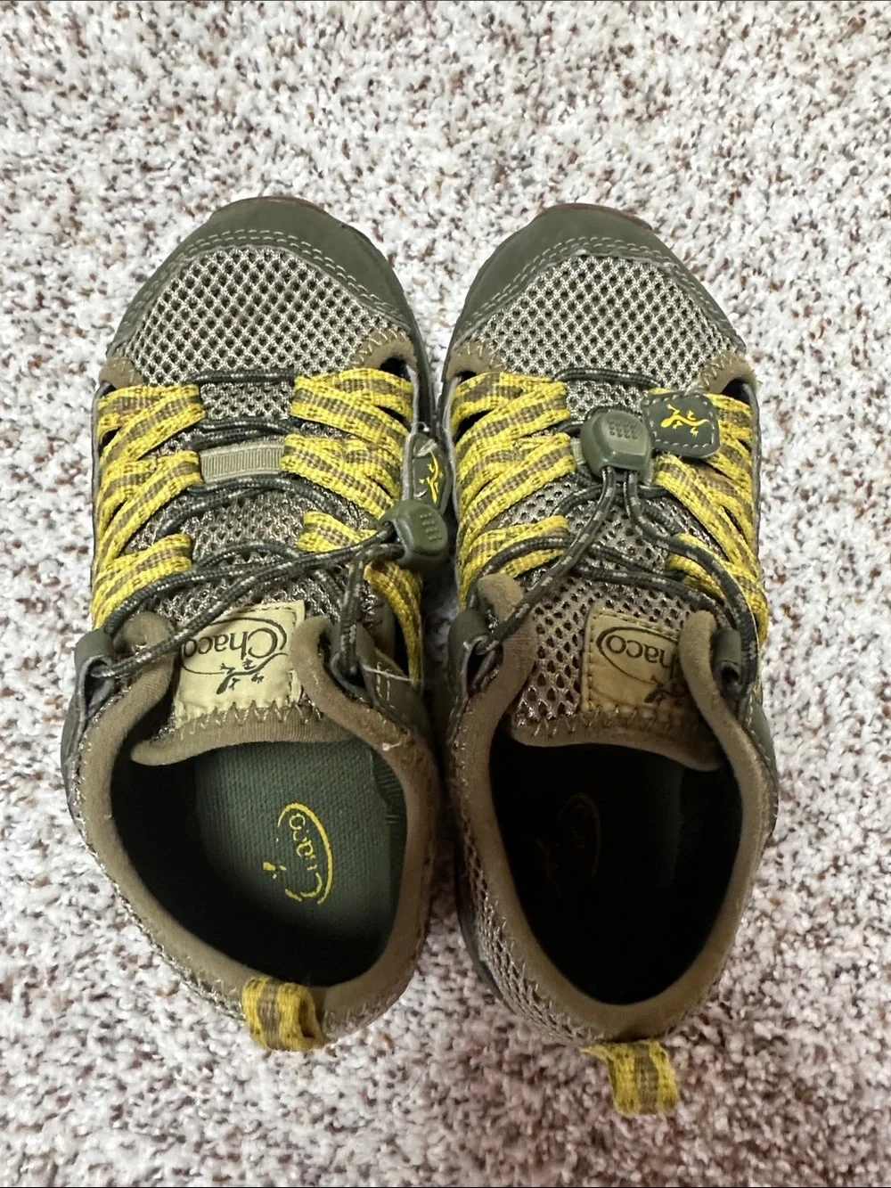 Chaco outcross closed
